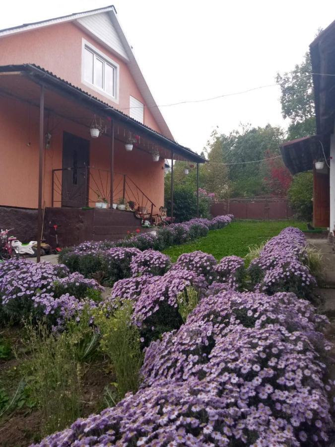 Gostynnyi Dvir U Marichky Hotel Lazeshchyna Exterior photo